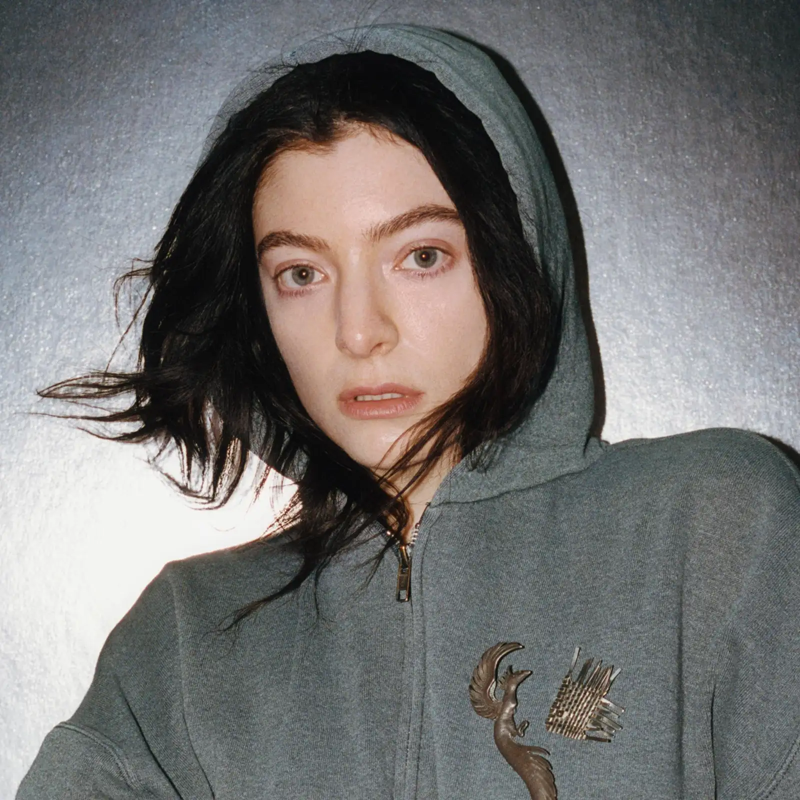 Lorde new profile picture for