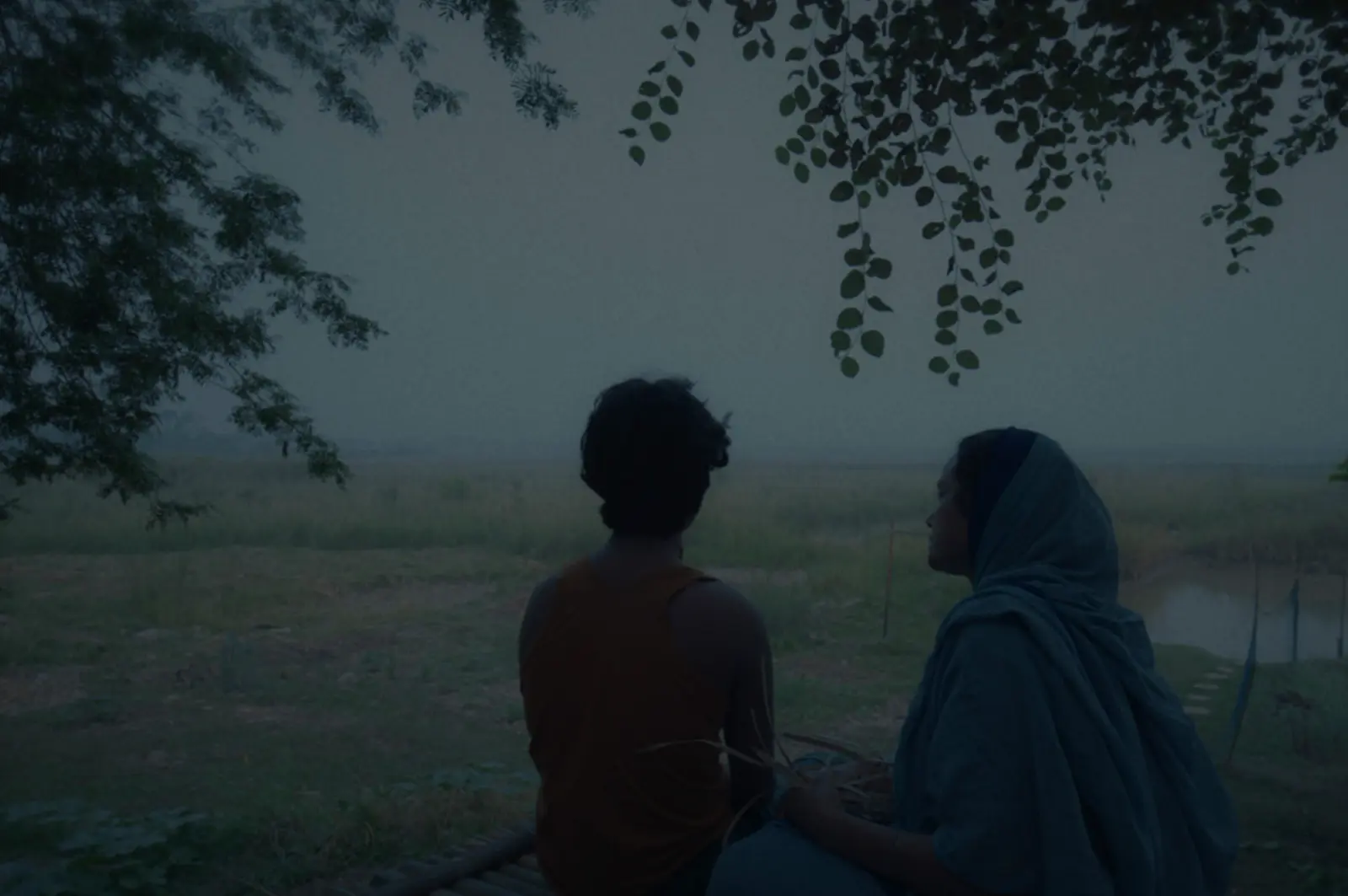 Ali Cannes Bangladeshi Film