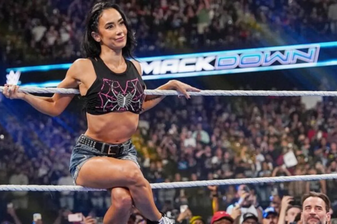 AJ Lee return WWE