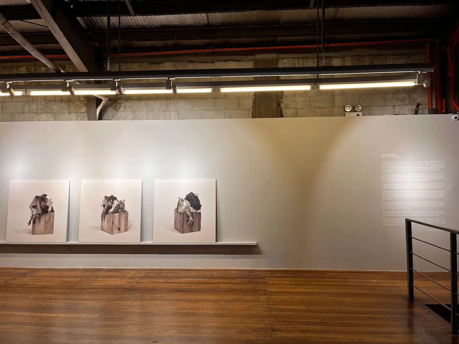 annie cabigting finale art file 4