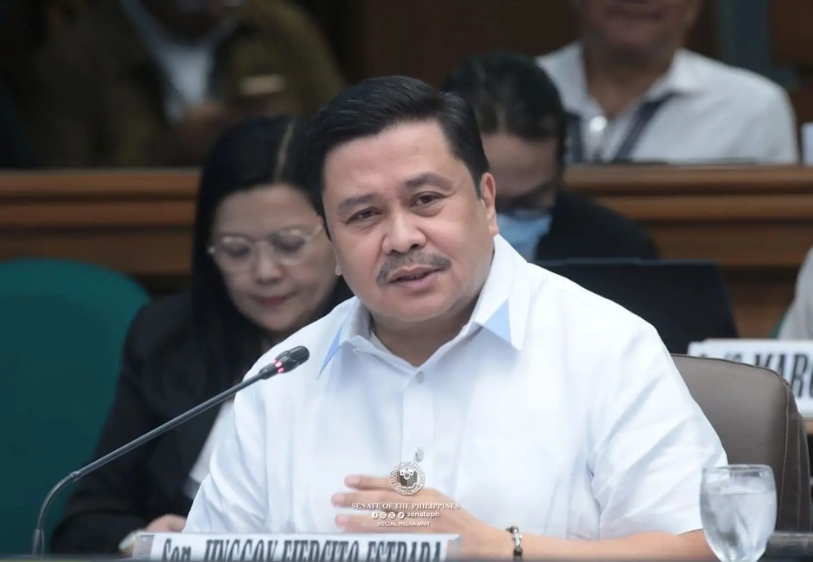jinggoy estrada senate flood control