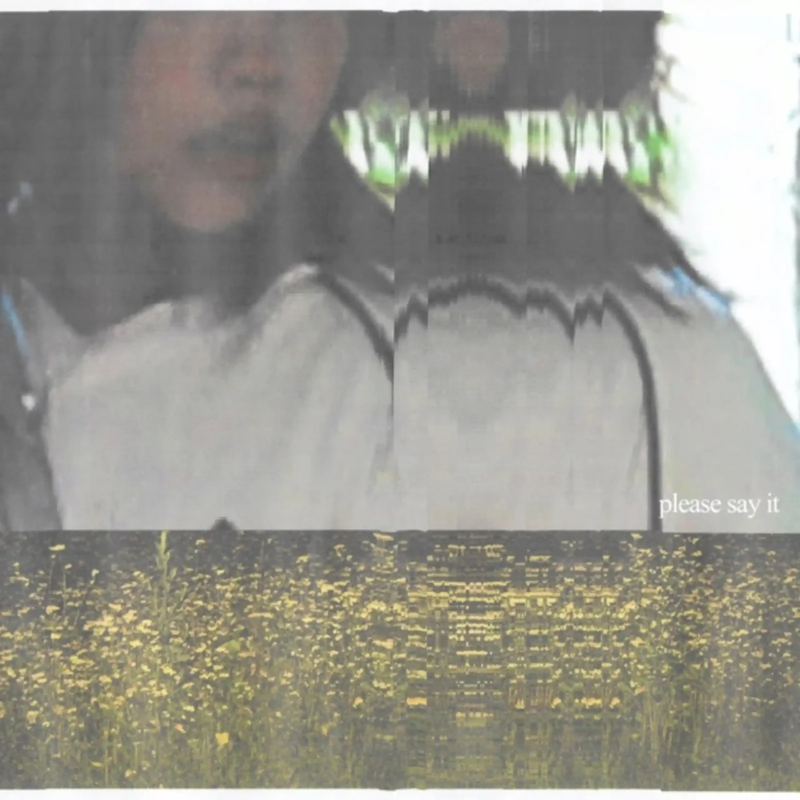 aunt robert, ‘Please Say It’